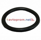 Кольцо уплотнительное пробки залива мотопомпы PG 1300T (HP200-008) "Fubag" (11)